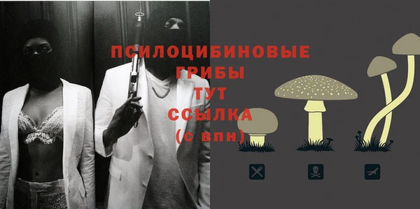дживик Аркадак