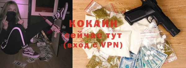 дживик Аркадак