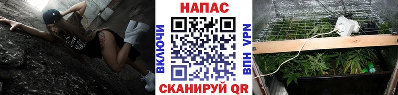 купить наркоту  Полесск  Марихуана индика 